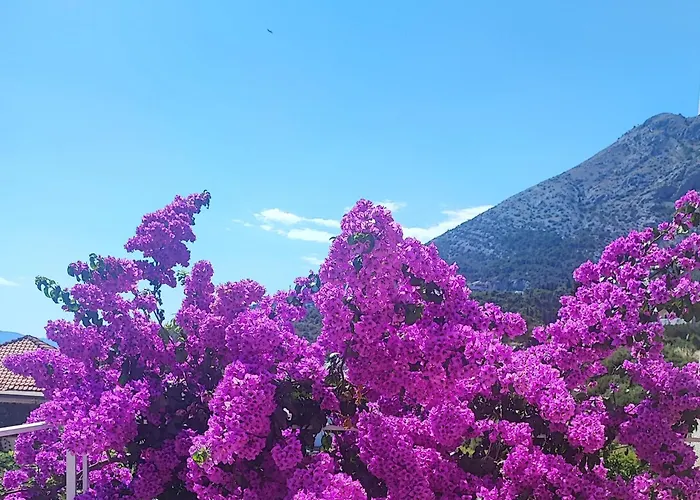 Апартаменты Mraz *